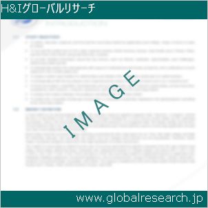 グローバルリサーチ調査レポートのイメージ
